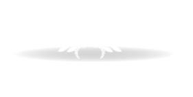 Execumatch